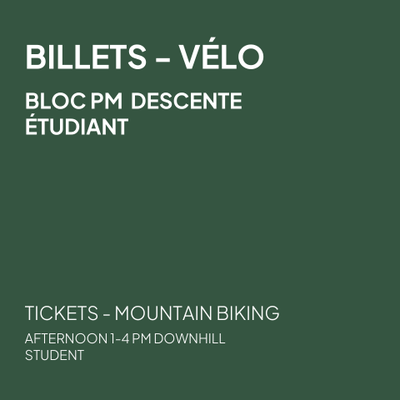 Afternoon ticket - Student