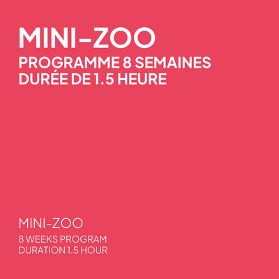 8-Week Mini-Zoo Program in Skiing - Saturday, Duration of 1.5 Hours
