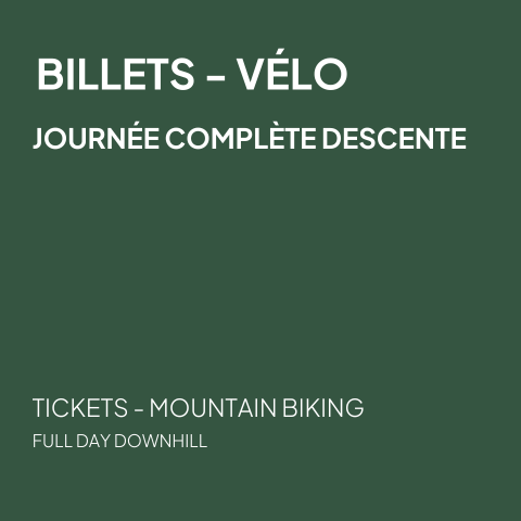 Full day ticket