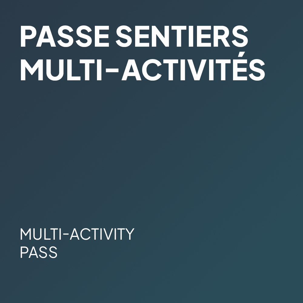 Multi-Activity Passes