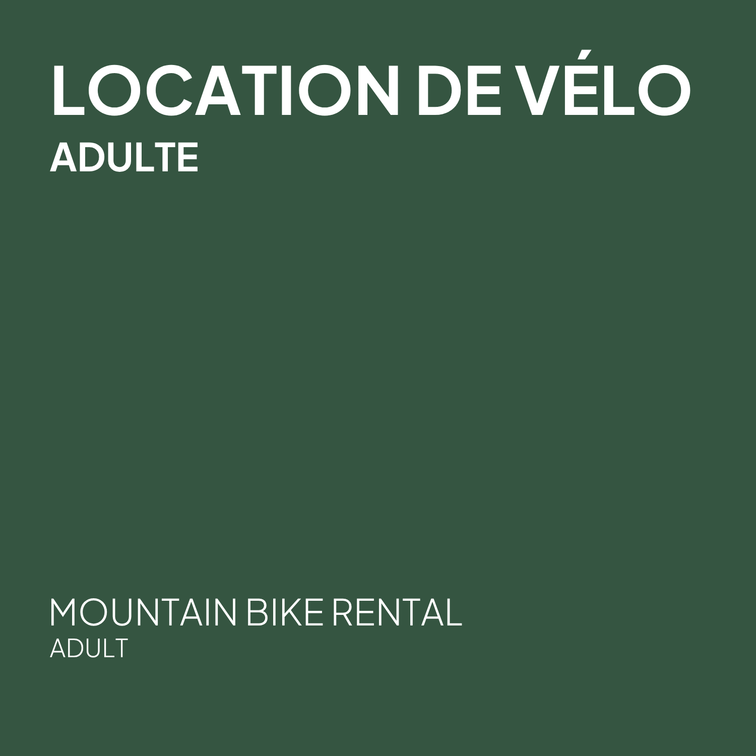Location de vélo - Adulte