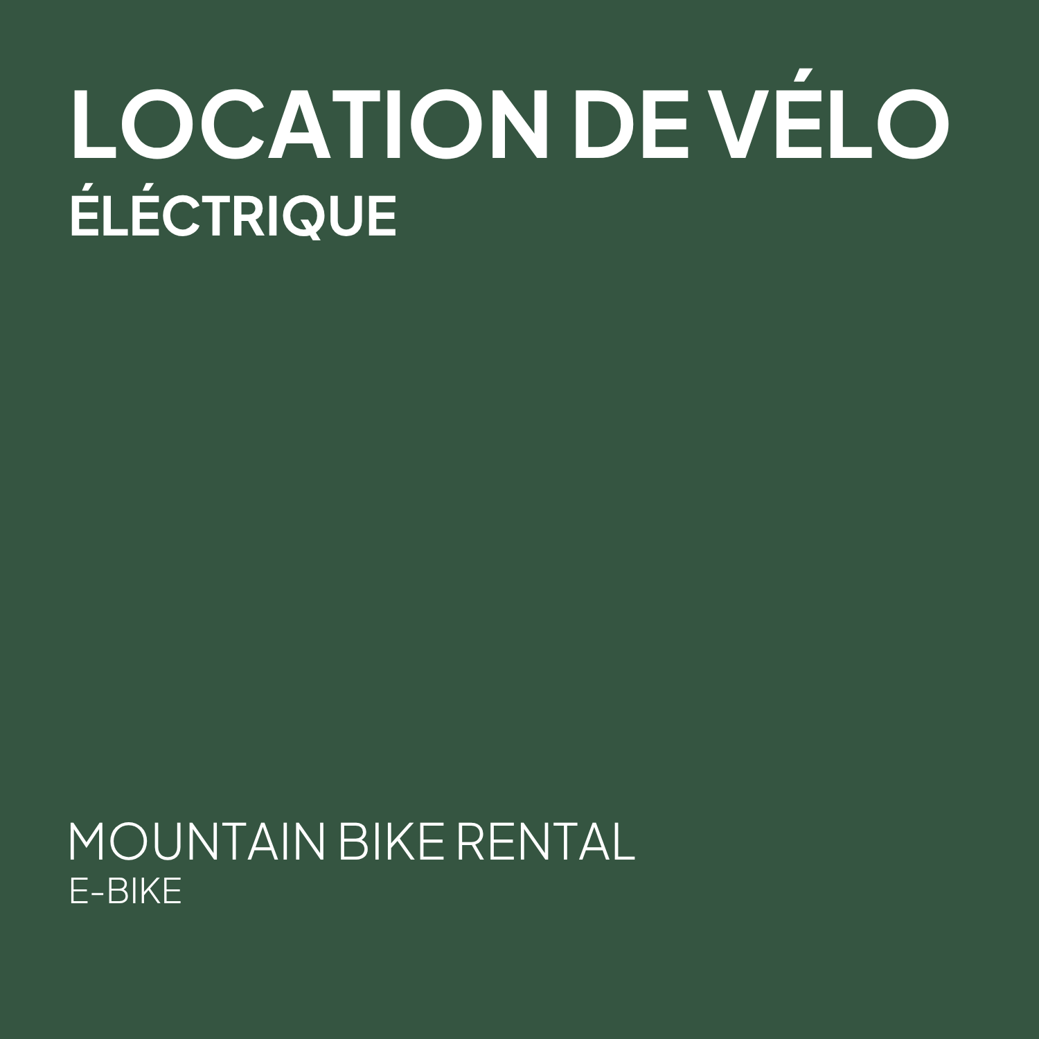 Location de vélo électrique - Adulte